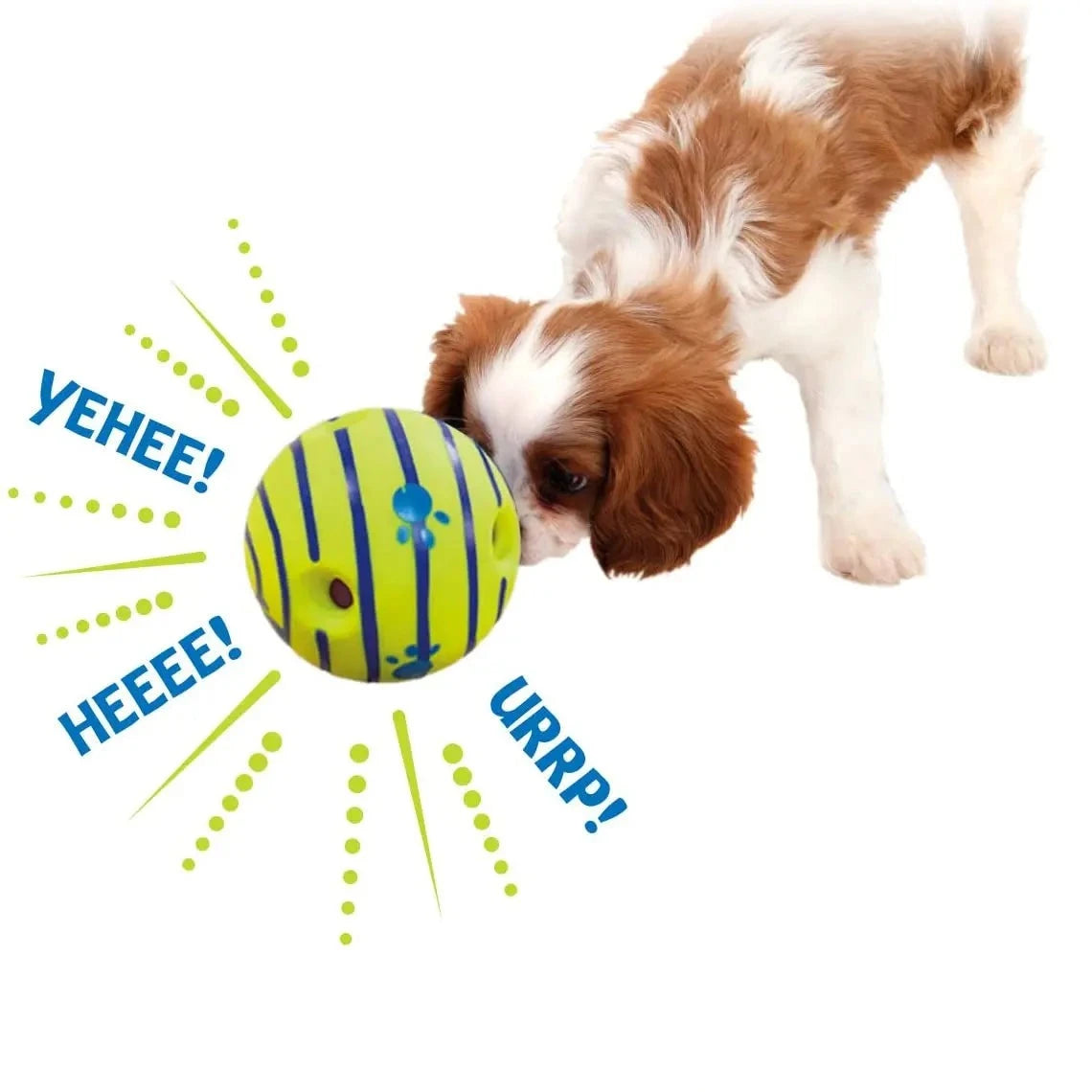 Interactive Dog Ball