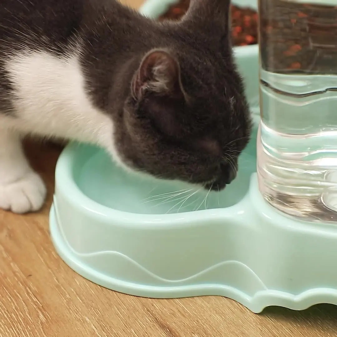 Pet Automatic Feeder