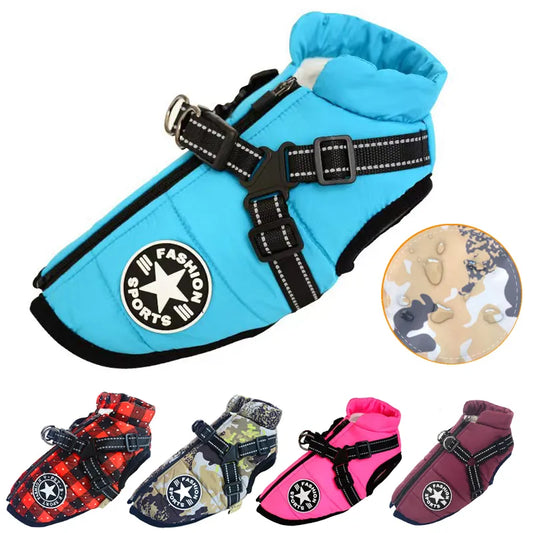 Pet Harness Jacket - S